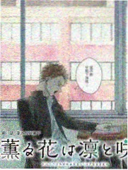 西瓜视频免费 综艺《夏日狂欢》